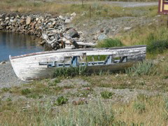 Boat - Bonavista